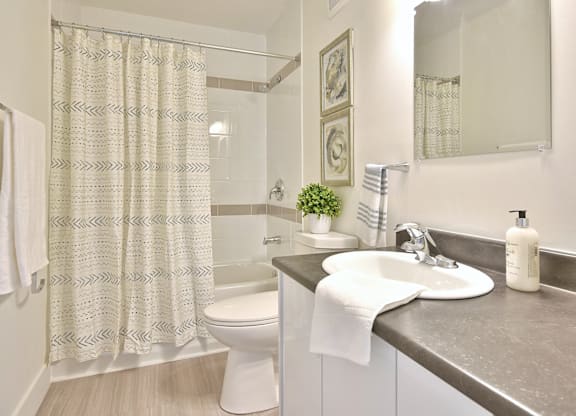 A bathroom with a white toilet, a sink, and a shower curtain.