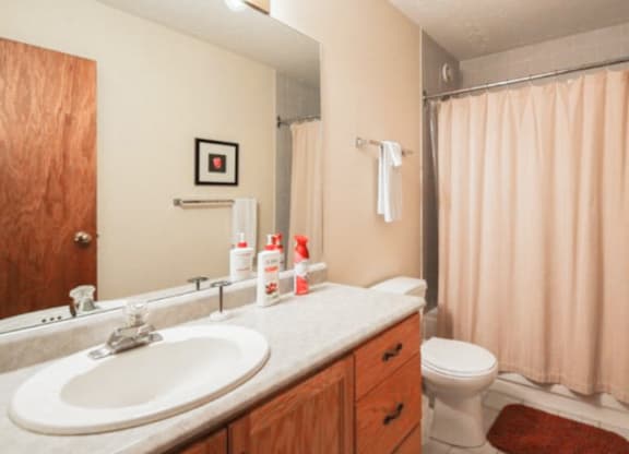 A bathroom with a sink, toilet, and shower curtain.