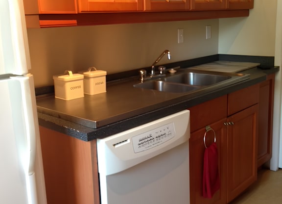 1335 Hollis Street kitchen