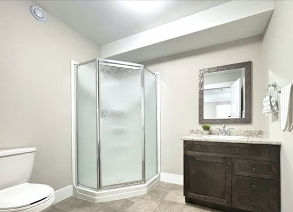 A bathroom with a toilet, a walk-in shower, and a vanity with a mirror.