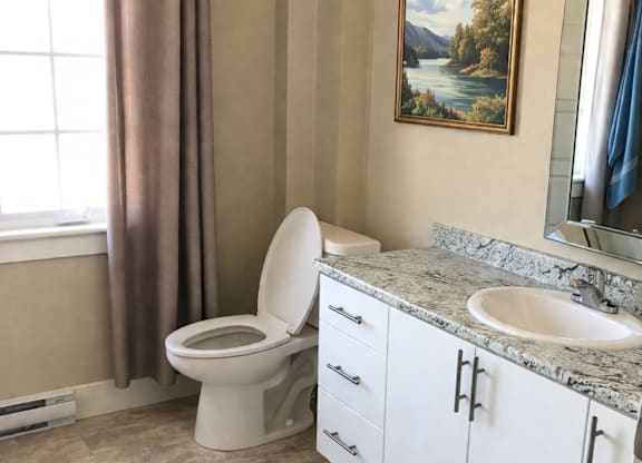 A bathroom with a toilet, sink, and a painting of a lake.