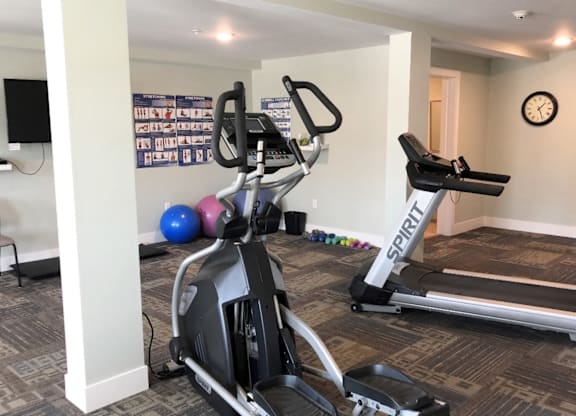 A gym with a treadmill, exercise bike, and weights.