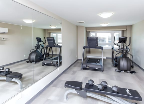A mirrored wall in a gym with a row of exercise equipment.