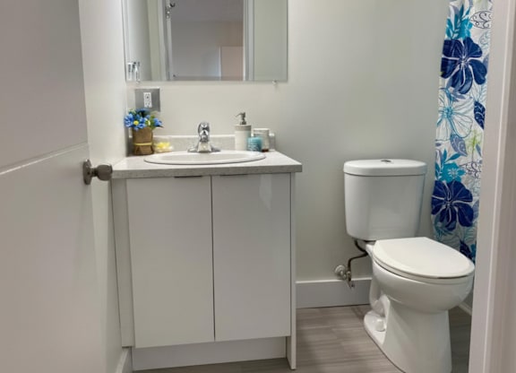 19 Plateau Crescent bathroom