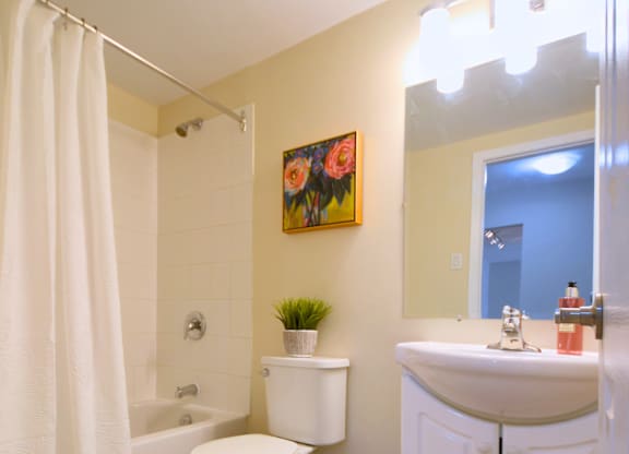 3 Dillman Place Bathroom
