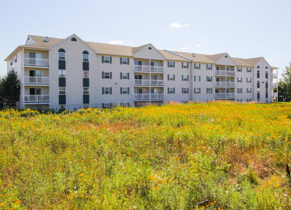 A field of wildflowers in front of apartment buildings.