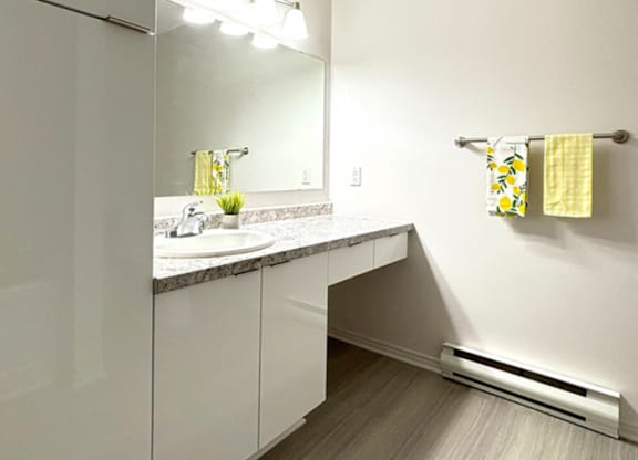 A bathroom with a sink and mirror.