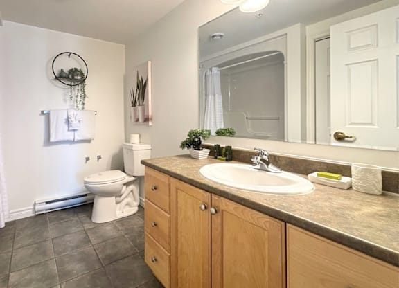 A bathroom with a toilet, sink, and mirror.