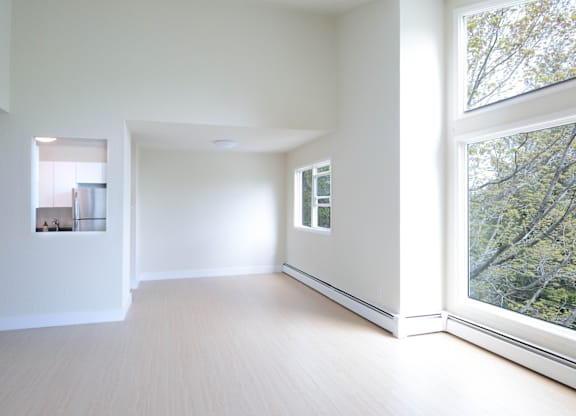 A spacious room with a large window overlooking a tree-filled area.