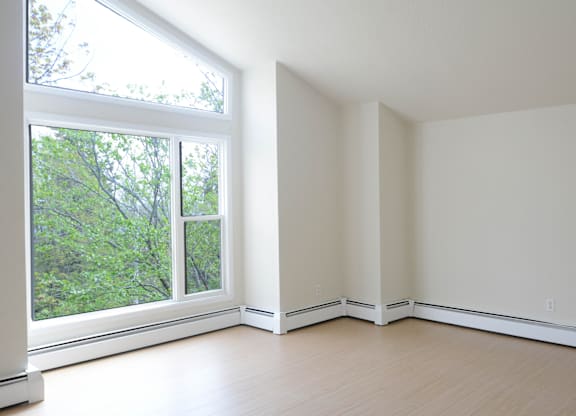 A room with a window overlooking a tree-filled area.