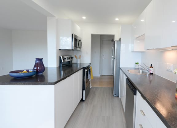 6 Jamieson Street Kitchen Counter
