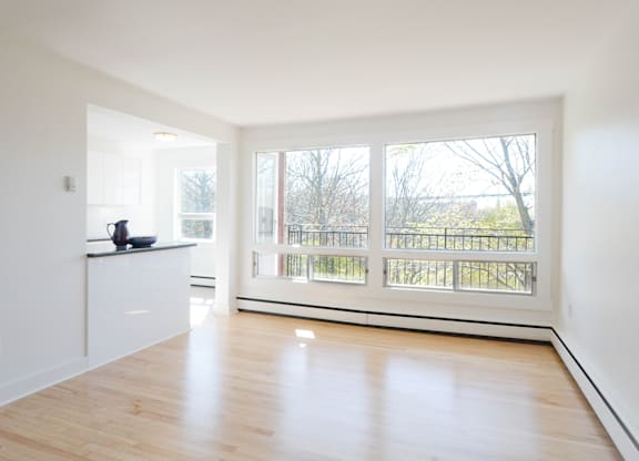 6 Jamieson Street Living Room