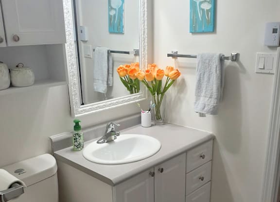 A bathroom with a white sink and a mirror above it.