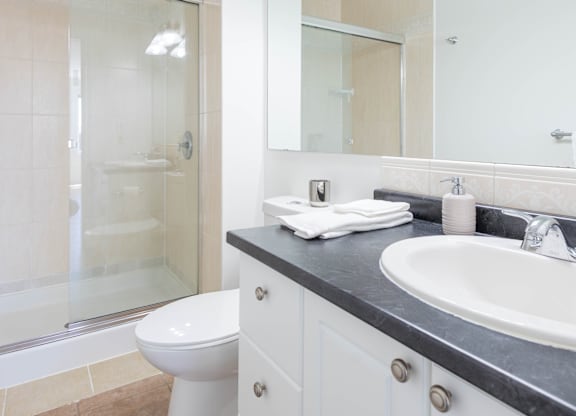 A white toilet sits next to a walk-in shower in a bathroom.