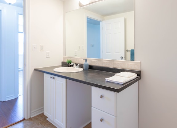 A bathroom with a sink, mirror, and cabinets.