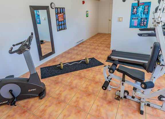 A treadmill and a bench press are in a room with a mirror.
