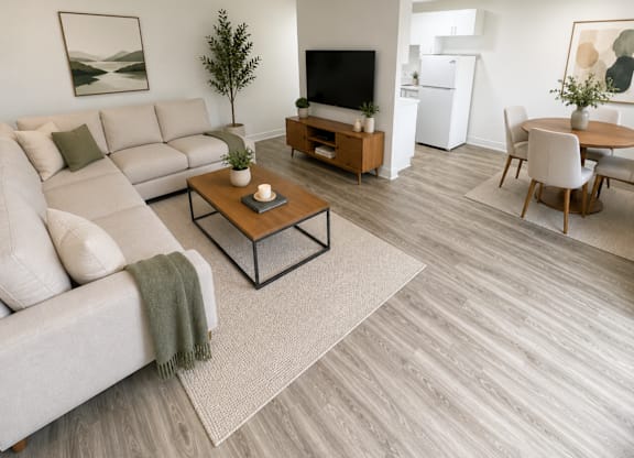 A living room with a grey sofa, a coffee table, and a television.