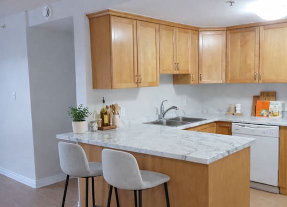 A kitchen with a marble countertop and wooden cabinets.