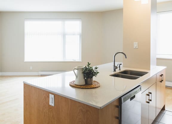 A kitchen with a sink and a window.