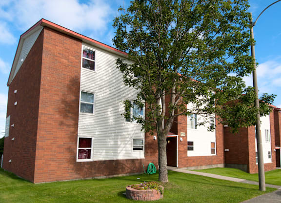 A tree in front of a brick building with a red roof.