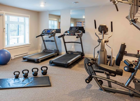 A home gym with a treadmill, exercise bike, and weights.