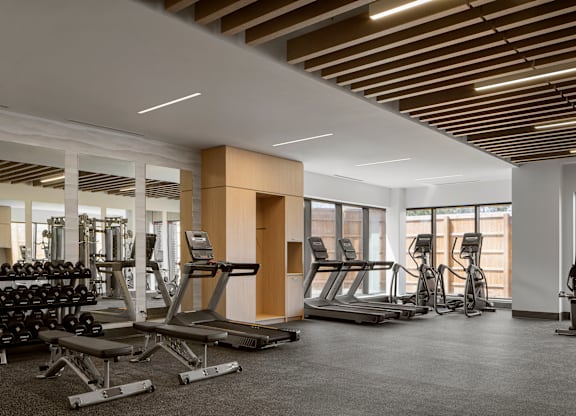 A gym with a variety of equipment including treadmills, weights, and benches.
