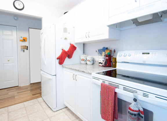 Buckingham Place Kitchen Appliances