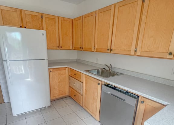 Carlton Houses Kitchen