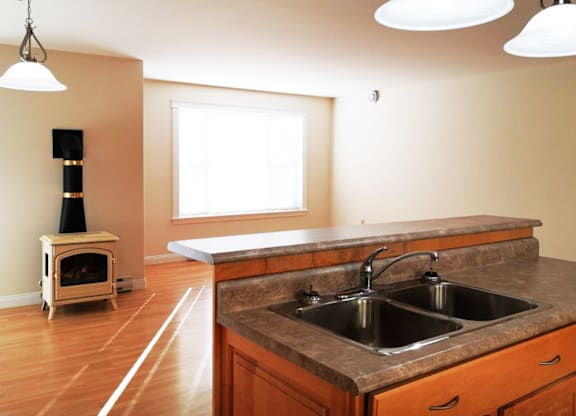 A kitchen with a wood stove and a sink.
