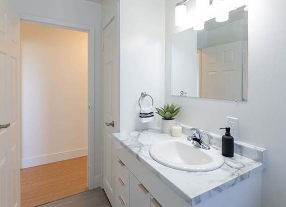 A bathroom with a white sink and a mirror above it.