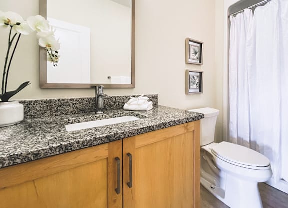 A bathroom with a sink, mirror, toilet, and a vase of flowers.