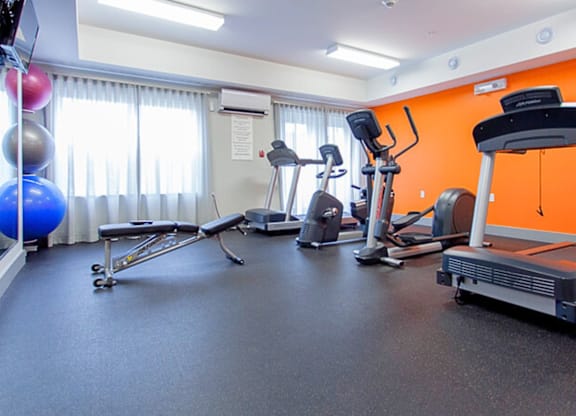 A gym with a variety of equipment including a treadmill, exercise bike, and rowing machine.