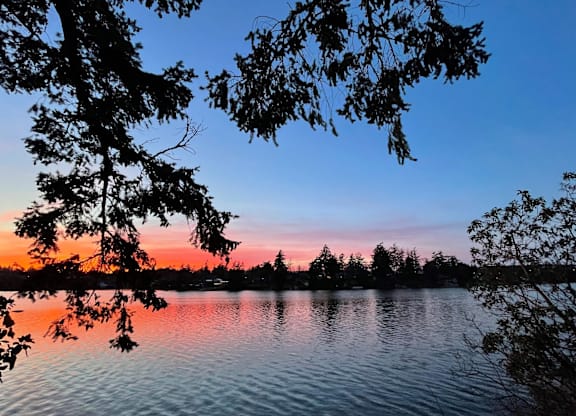 A serene lake is surrounded by trees and the sky is painted with hues of pink and blue.
