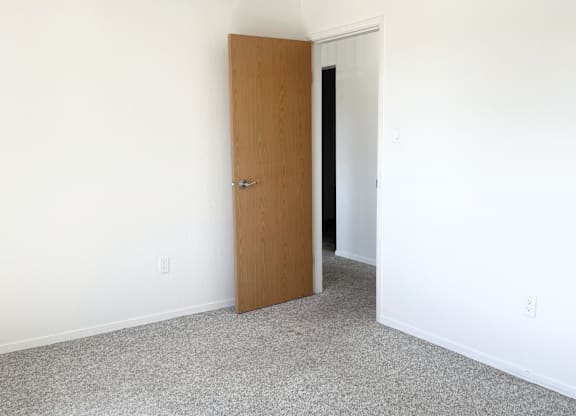 A room with a brown door and carpeted floor.