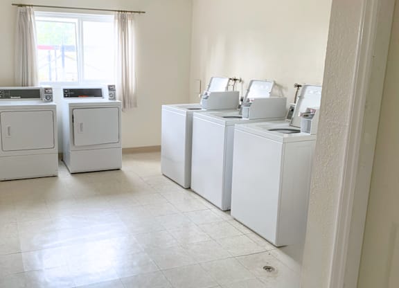 A row of white washing machines in a laundry room.