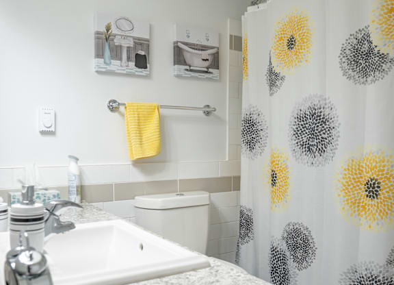 A bathroom with a sink, toilet, and shower curtain.