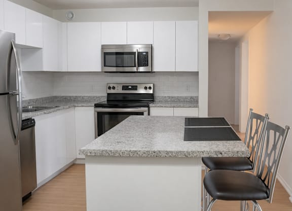 A kitchen with a granite countertop and stainless steel appliances.