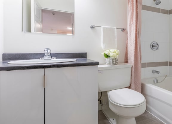 A white toilet sits next to a sink in a bathroom.