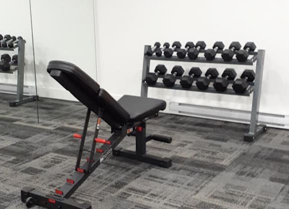 A black bench is in front of a rack of dumbbells.