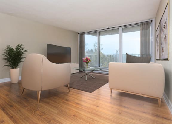 A living room with a television, two couches, and a plant.