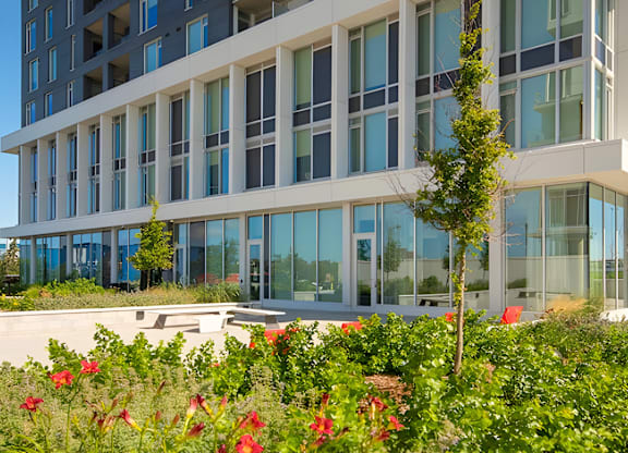 A modern building with a lot of windows and some plants in front.
