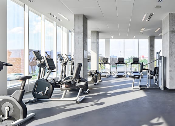 A gym with treadmills, elliptical machines, and weights.