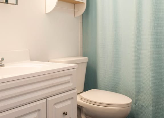 Glenforest Apartments Bath