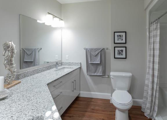 A bathroom with a toilet, sink, and mirror.