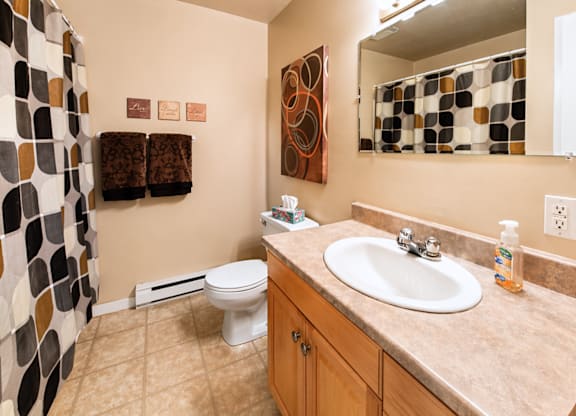 A bathroom with a toilet, sink, and mirror.