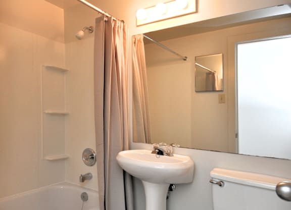 Lakefront Apartments Bathroom
