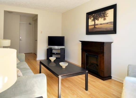Lakefront Apartments Living Room Fire Place