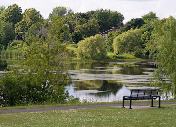 A bench sits on a grassy area next to a lake.