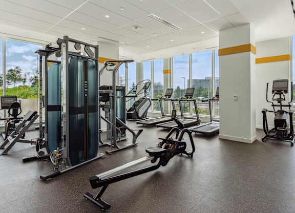 A gym with a variety of equipment including treadmills, weight machines, and benches.
