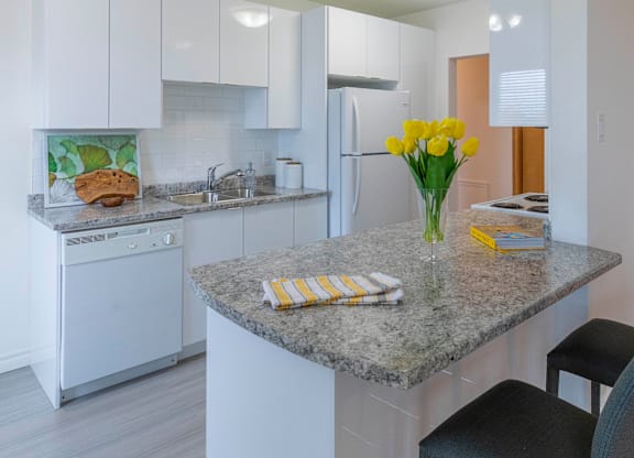 A kitchen with a granite countertop and a painting of a loaf of bread on the wall.